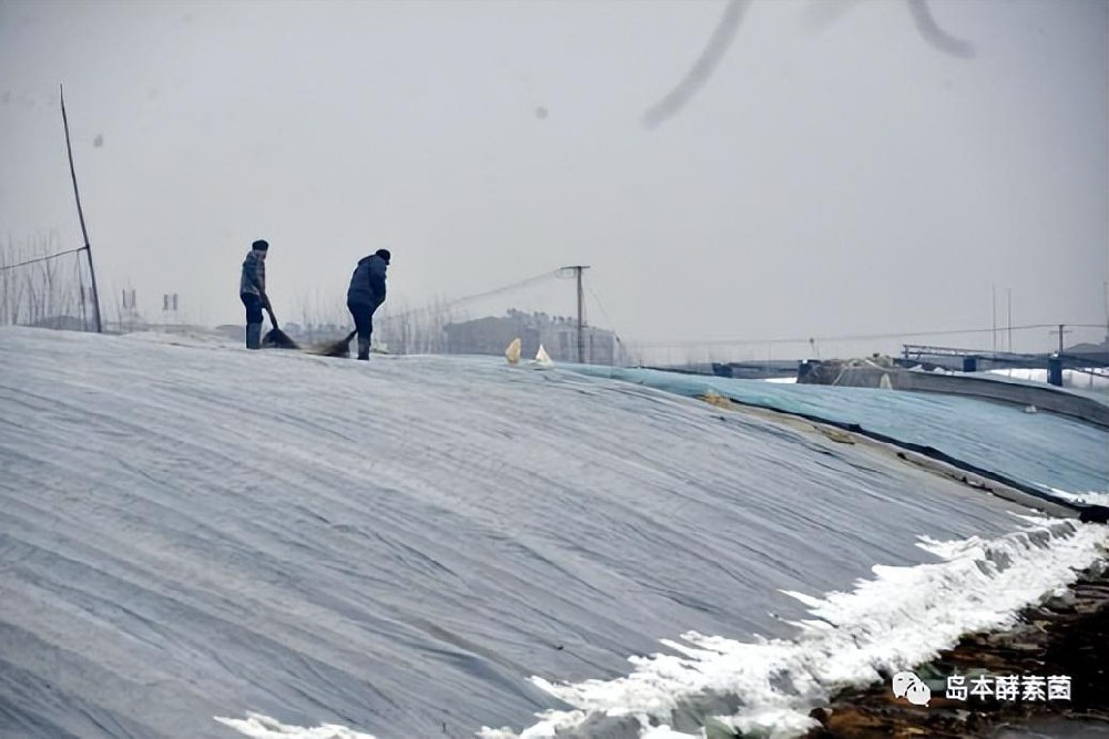 怎樣防范連陰雨雪天對溫室的危害？