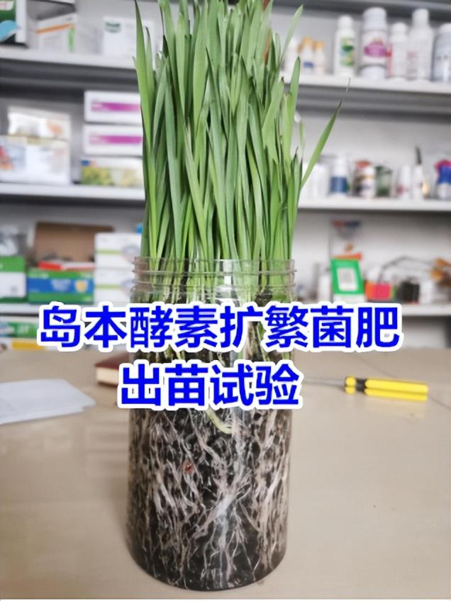 有機肥腐熟度與穩(wěn)定性有什么關(guān)系？