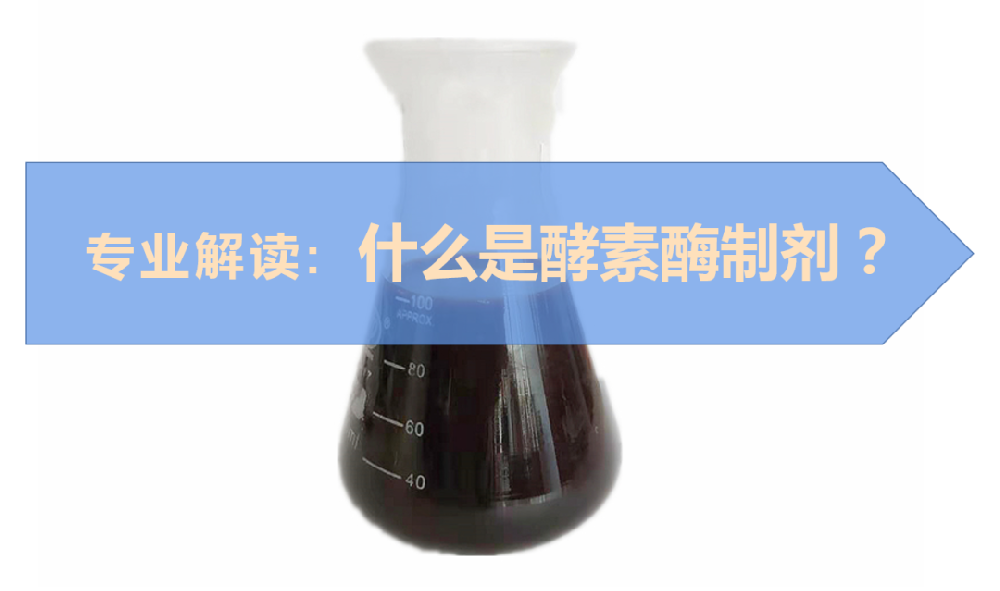 什么是酵素酶制劑？它具體有哪些作用？